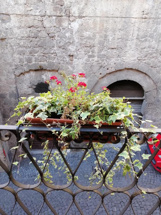 Alla Cava Orvieto Bagian luar foto